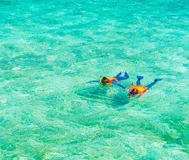 Islands Snorkeling Tour