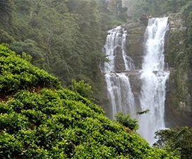 Dudhsagar Falls