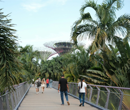 Explore Gardens by the Bay