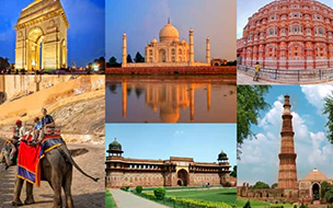 Golden Triangle Delight