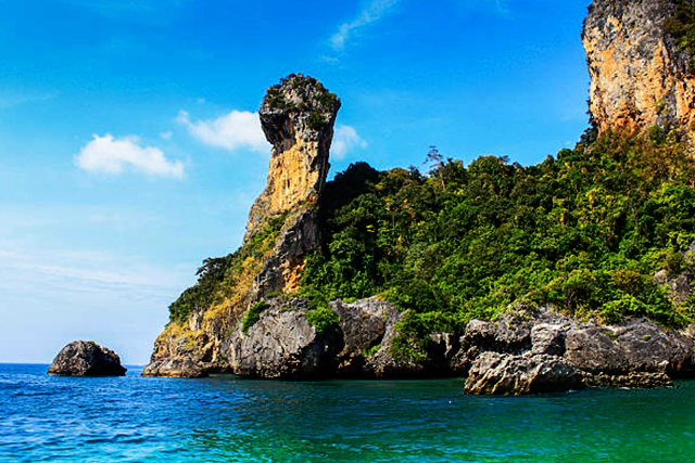 chicken-island