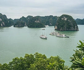Enjoy a Scenic Cruise in Ha Long Bay