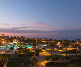 Global Village