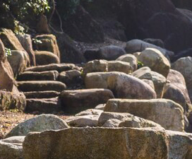 Mount-Harriet-National-Park