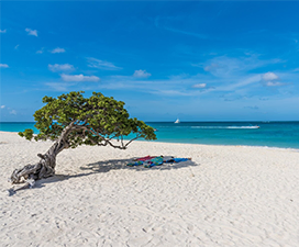 Radhanagar-Beach