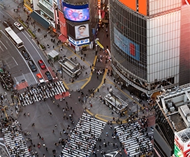 Shibuya and Harajuku, Tokyo