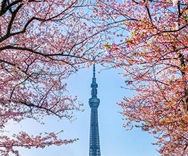 Tokyo Skytree