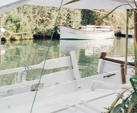 Glass-Bottom-Boat-Rides
