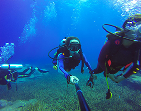 Dive In Water Sports